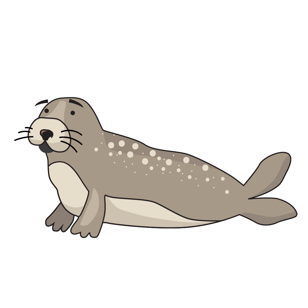 Seal (236x)