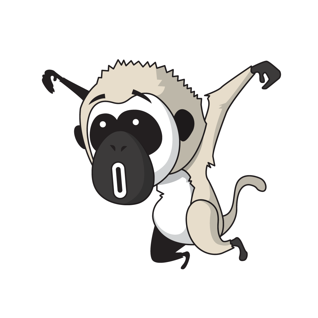 Marmoset (400x)