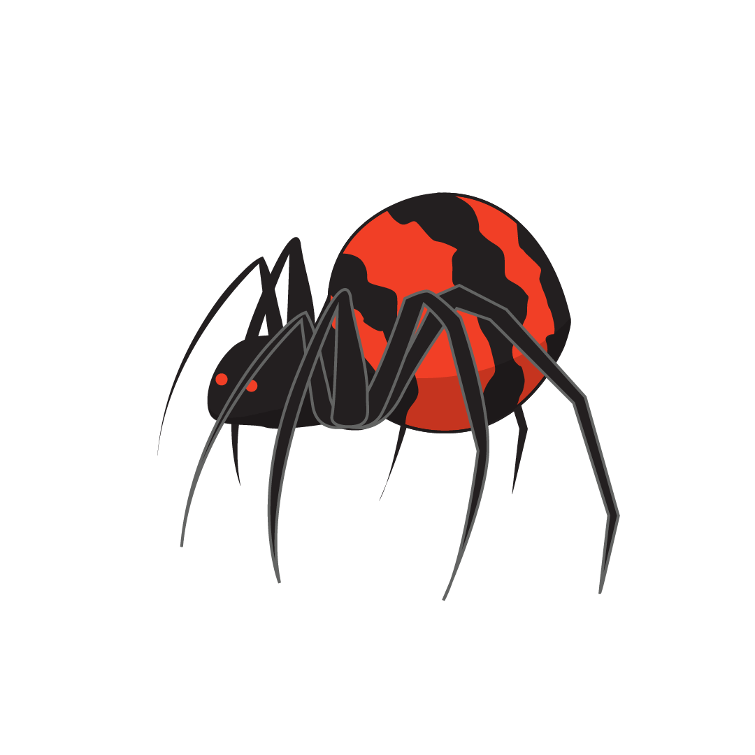 Spider (2802x)