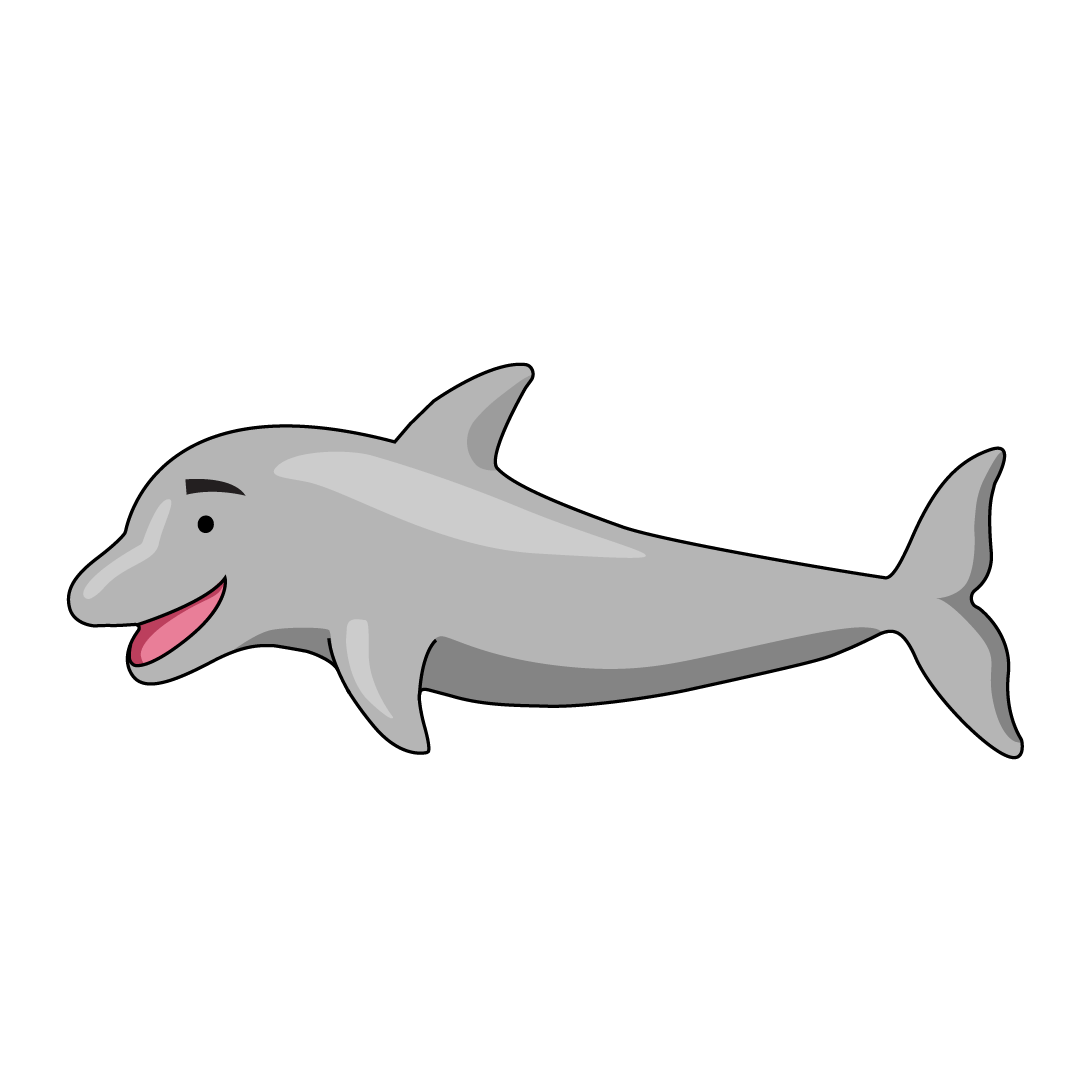 Dolphin (378x)