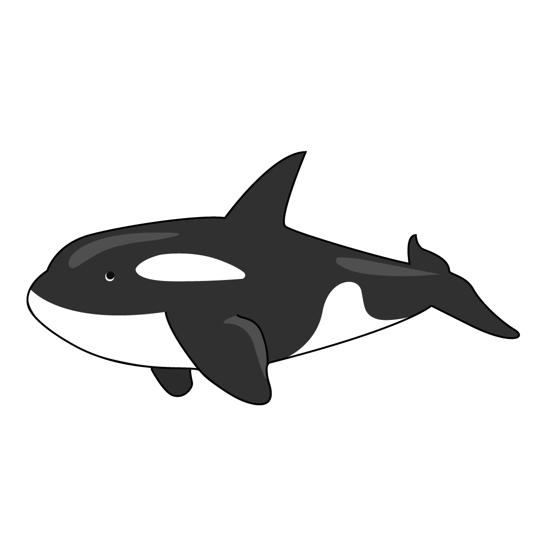 Killer whale (419x)