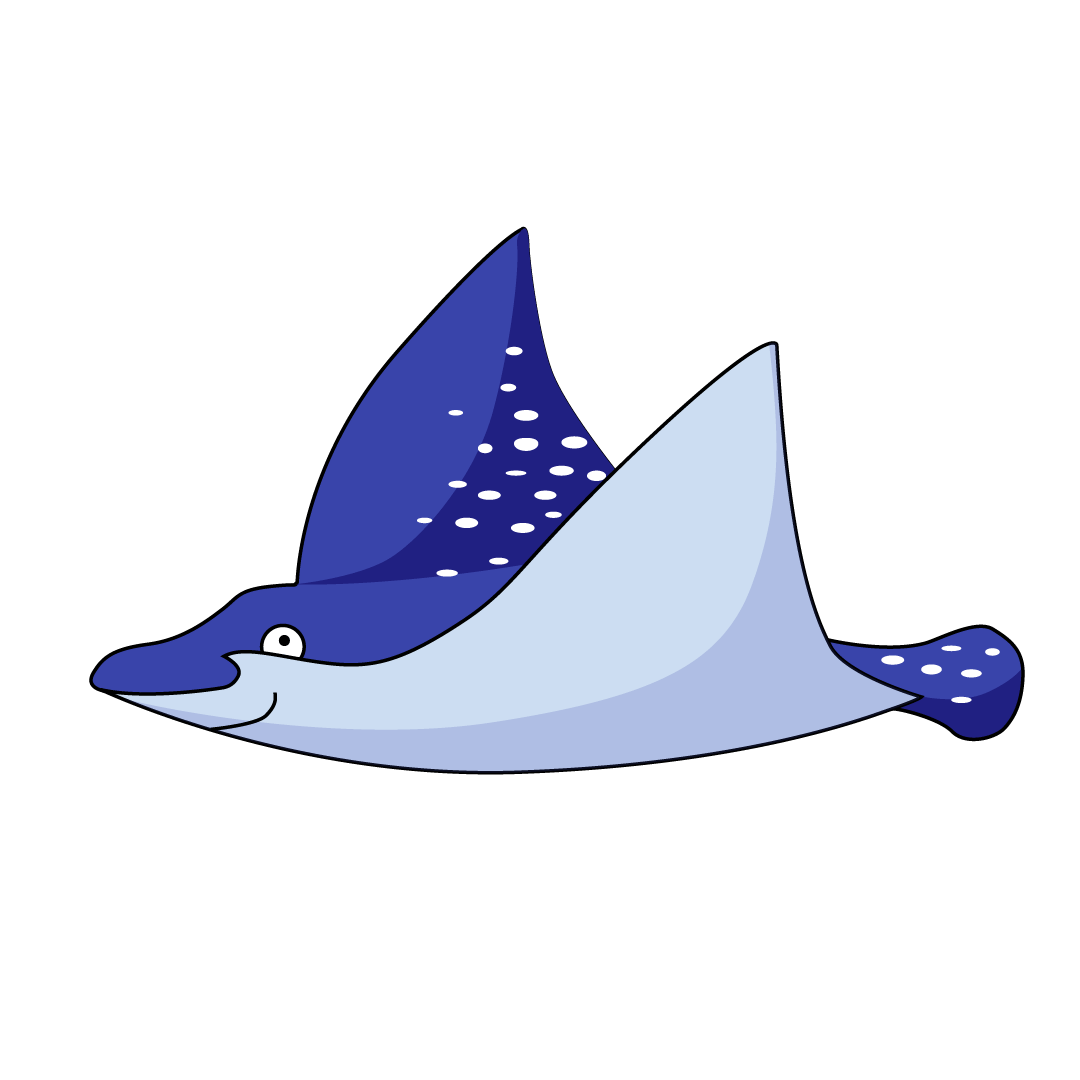 Manta (516x)